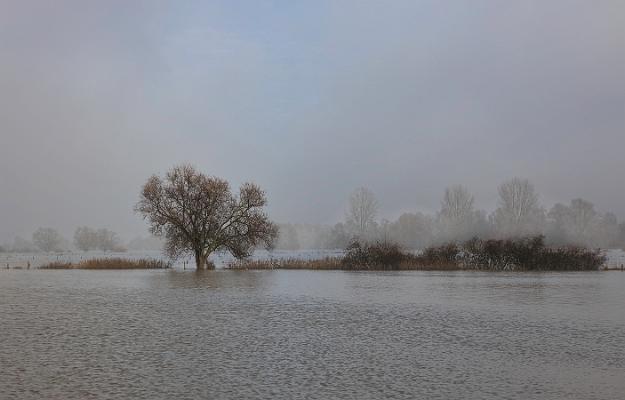 leichtes Hochwasser