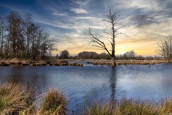 De Wittsee (17 von 20) Kopie