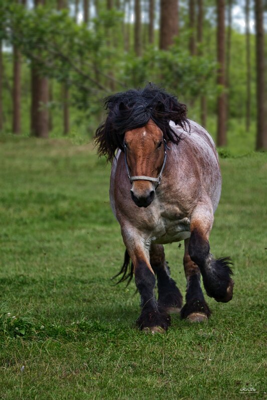 _MG_0070_0220_genSwap_genErase