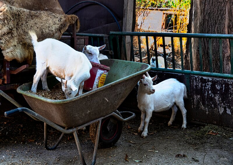 unbenannt (5 von 15)