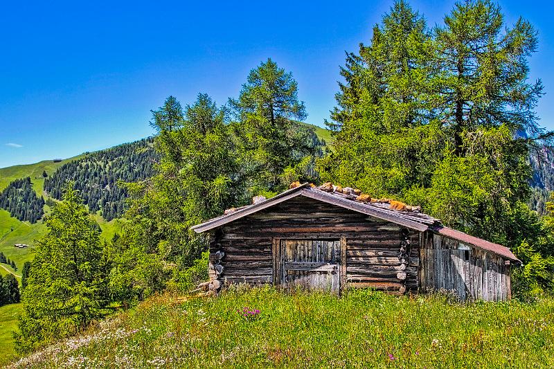 024 einsam auf einer Erhöhung