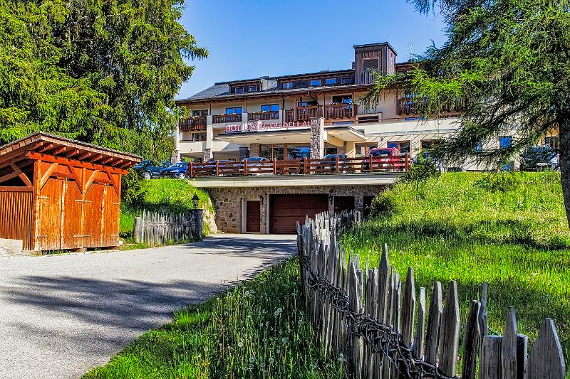 2011 Juni Seiser Alm 002