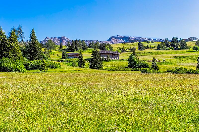 2011 Juni Seiser Alm 008