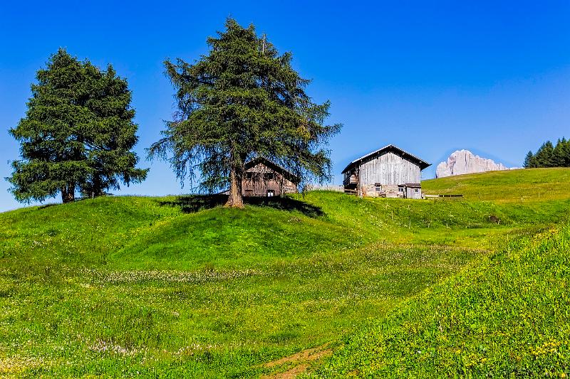 2011 Juni Seiser Alm 010