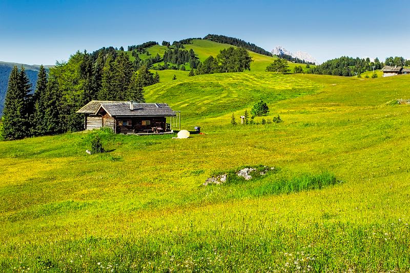 2011 Juni Seiser Alm 020