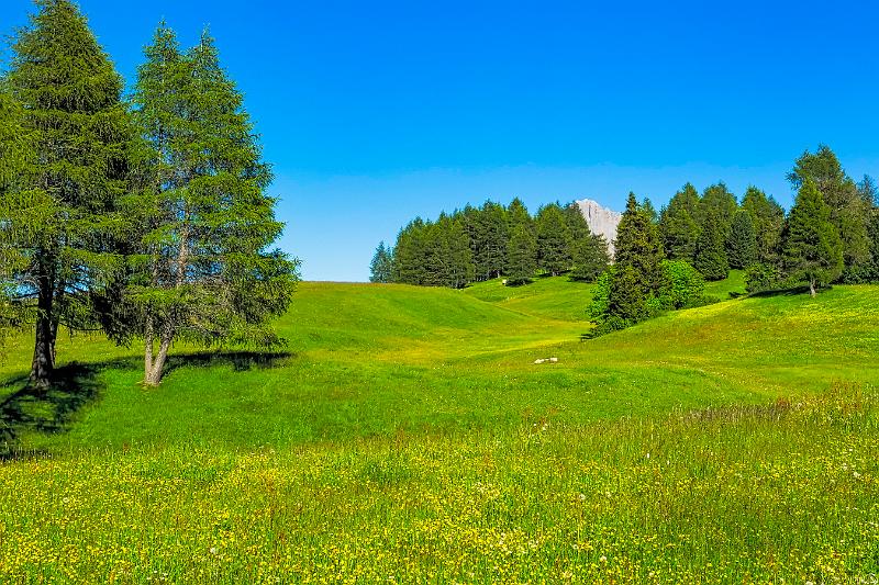 2011 Juni Seiser Alm 022