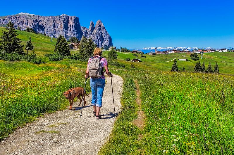 2011 Juni Seiser Alm 038