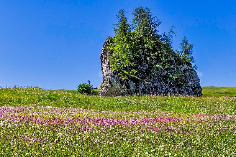 2011 Juni Seiser Alm 048