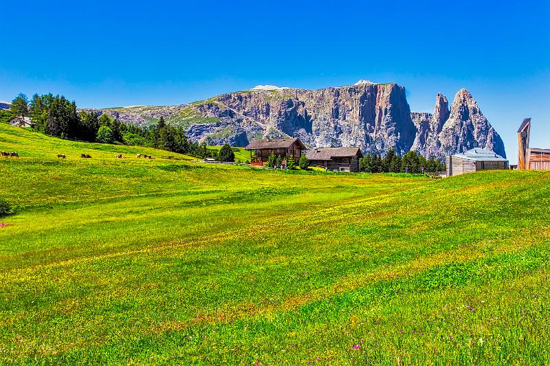 2011 Juni Seiser Alm 056