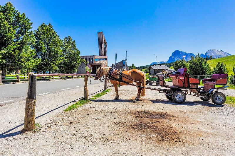 2011 Juni Seiser Alm 060