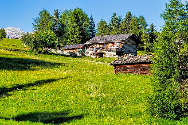 2011 Juni Seiser Alm 094