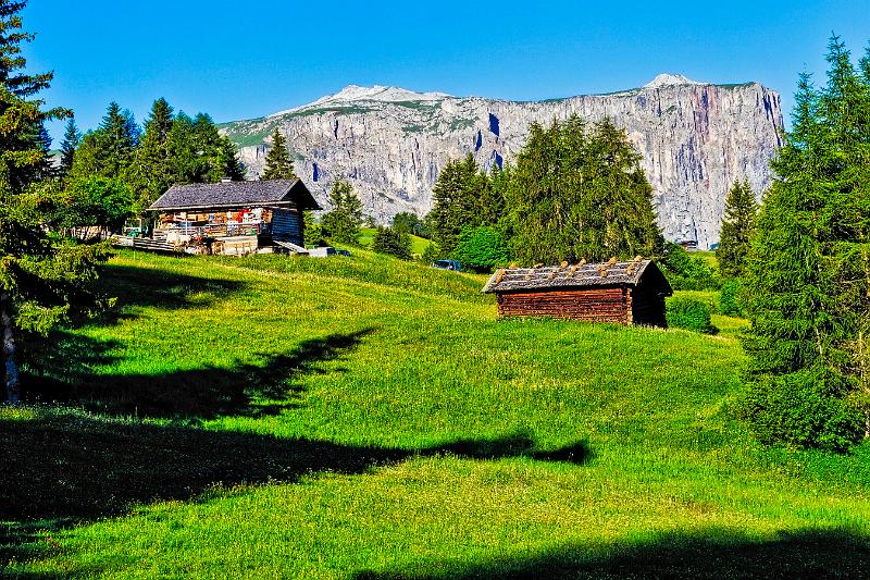 2011 Juni Seiser Alm 095