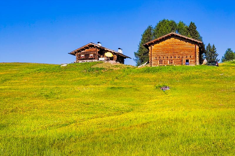 2011 Juni Seiser Alm 099