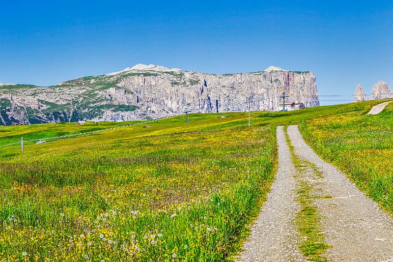 2011 Juni Seiser Alm 112