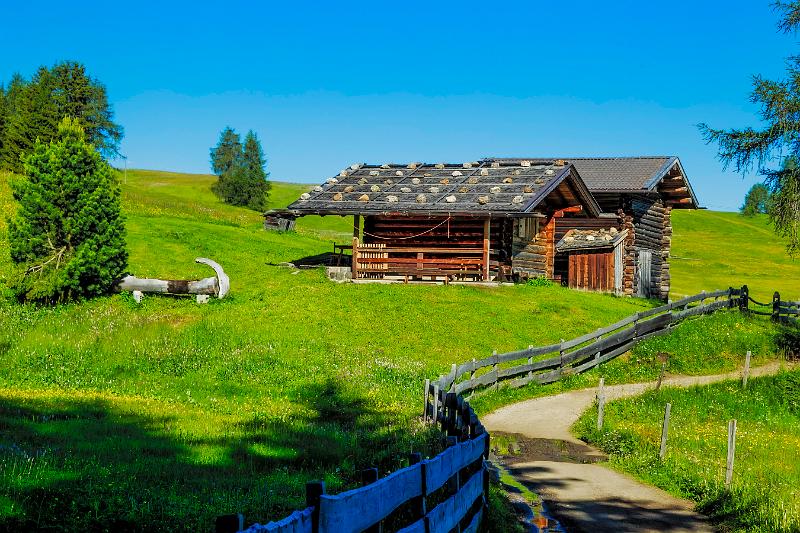 2011 Juni Seiser Alm 119