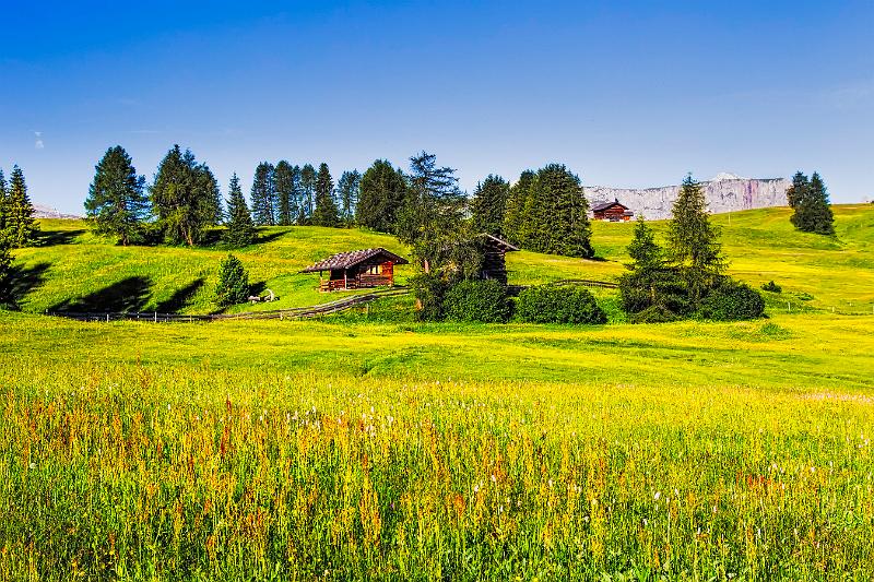 2011 Juni Seiser Alm 156