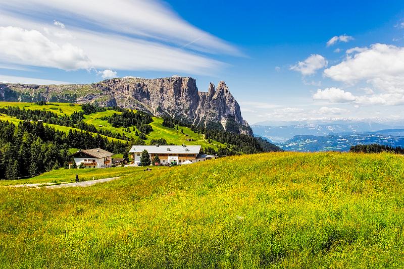 2011 Juni Seiser Alm 217