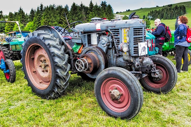 2011 Juni Seiser Alm 226