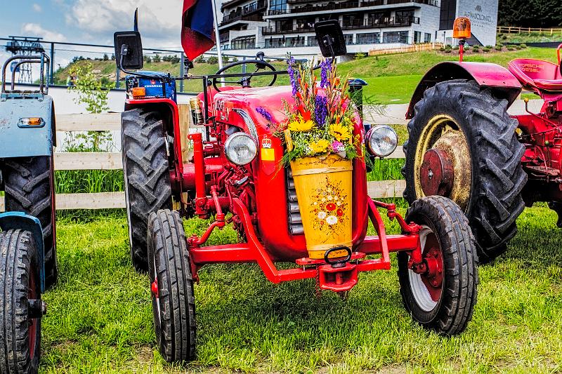 2011 Juni Seiser Alm 233