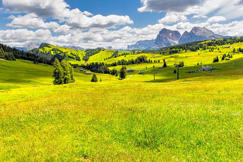 2011 Juni Seiser Alm 265