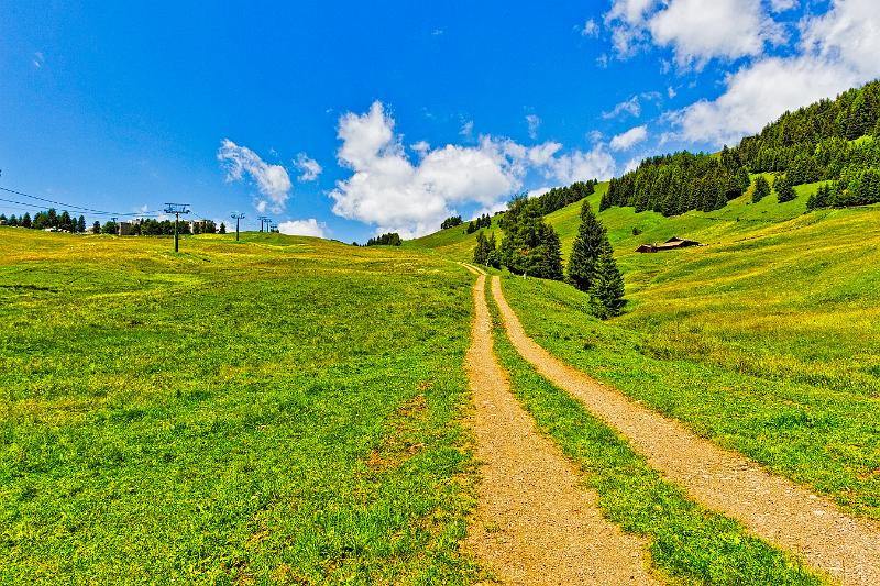 2011 Juni Seiser Alm 267