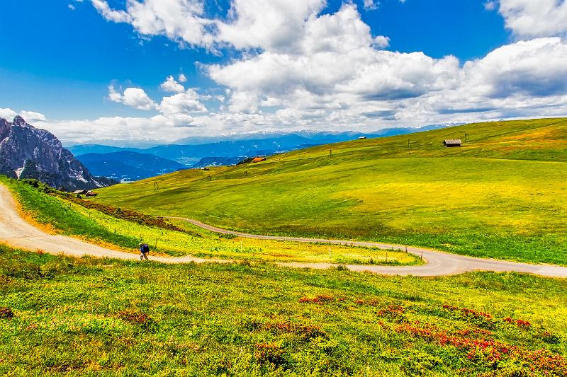 2011 Juni Seiser Alm 268