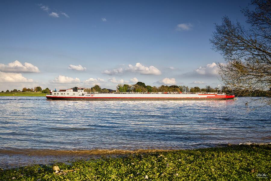 Rhein bei Wallach__66 (1)